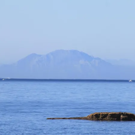 Dorada فيلة *